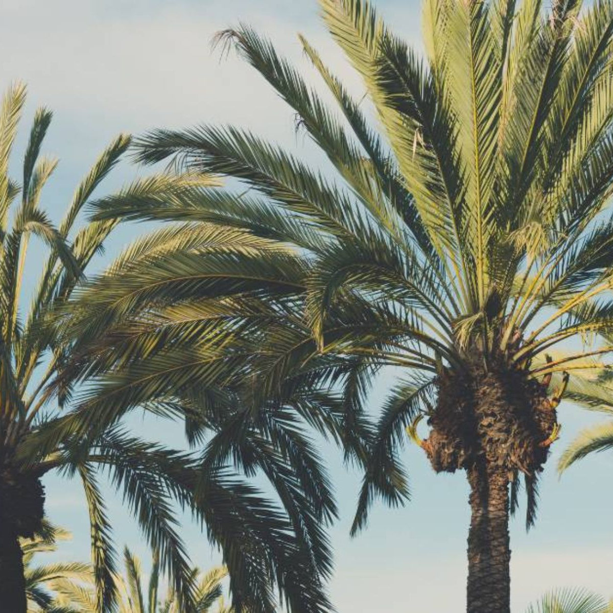 Kalifornien HappyLandGifts Geschenk Land Grundstück