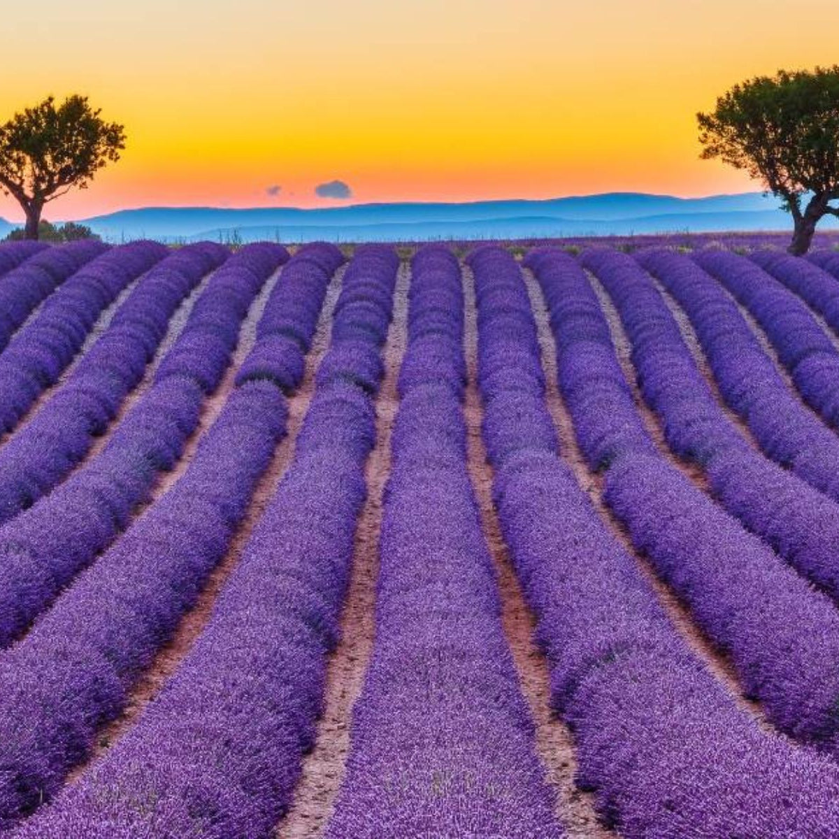 Frankreich HappyLandGifts Geschenk Land Grundstück