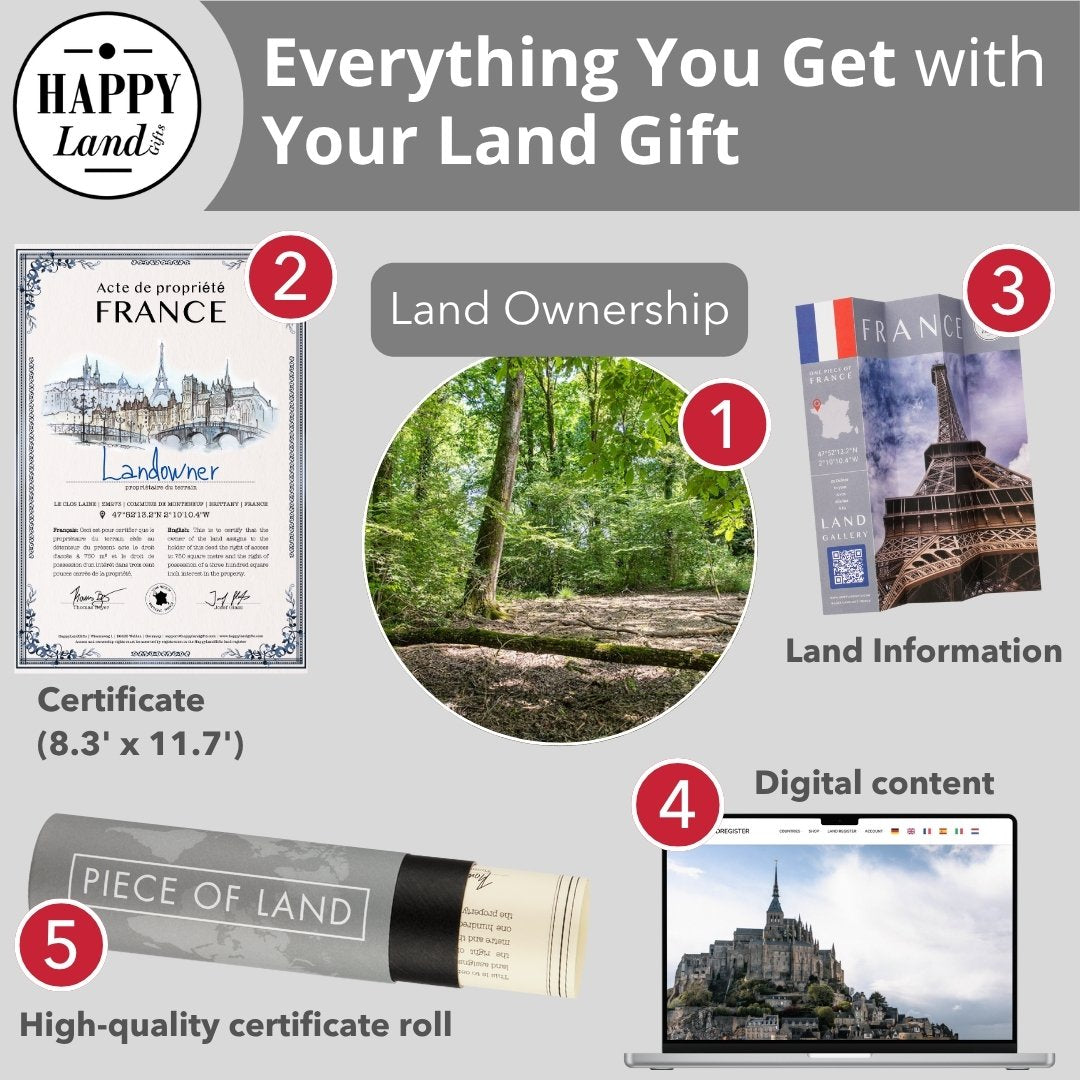 Collage showing forest land, land ownership certificate, French flag, digital content on laptop, and rolled certificate tube.