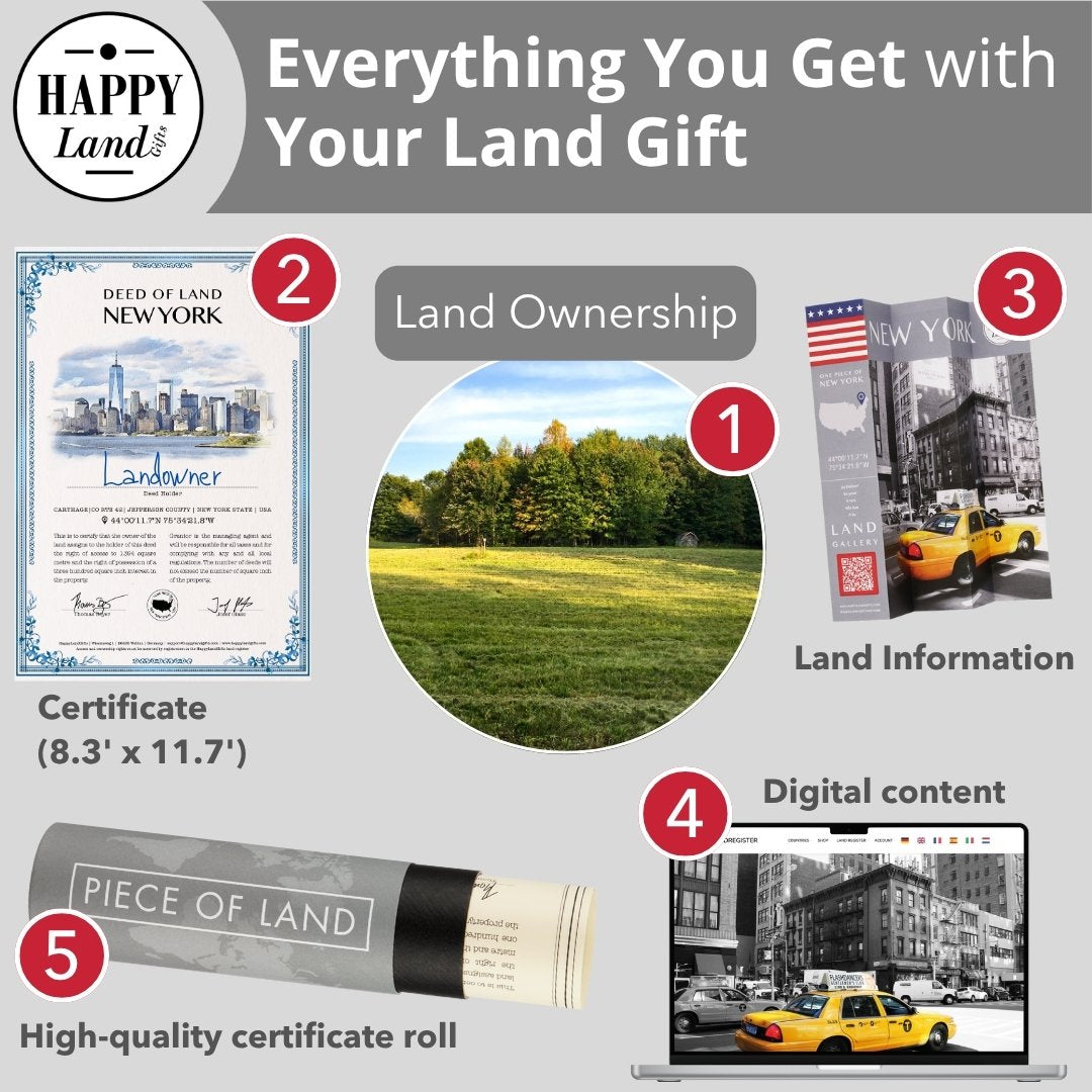 Certificate, land ownership photo, digital content, NYC taxi image, certificate roll, and city information cards.