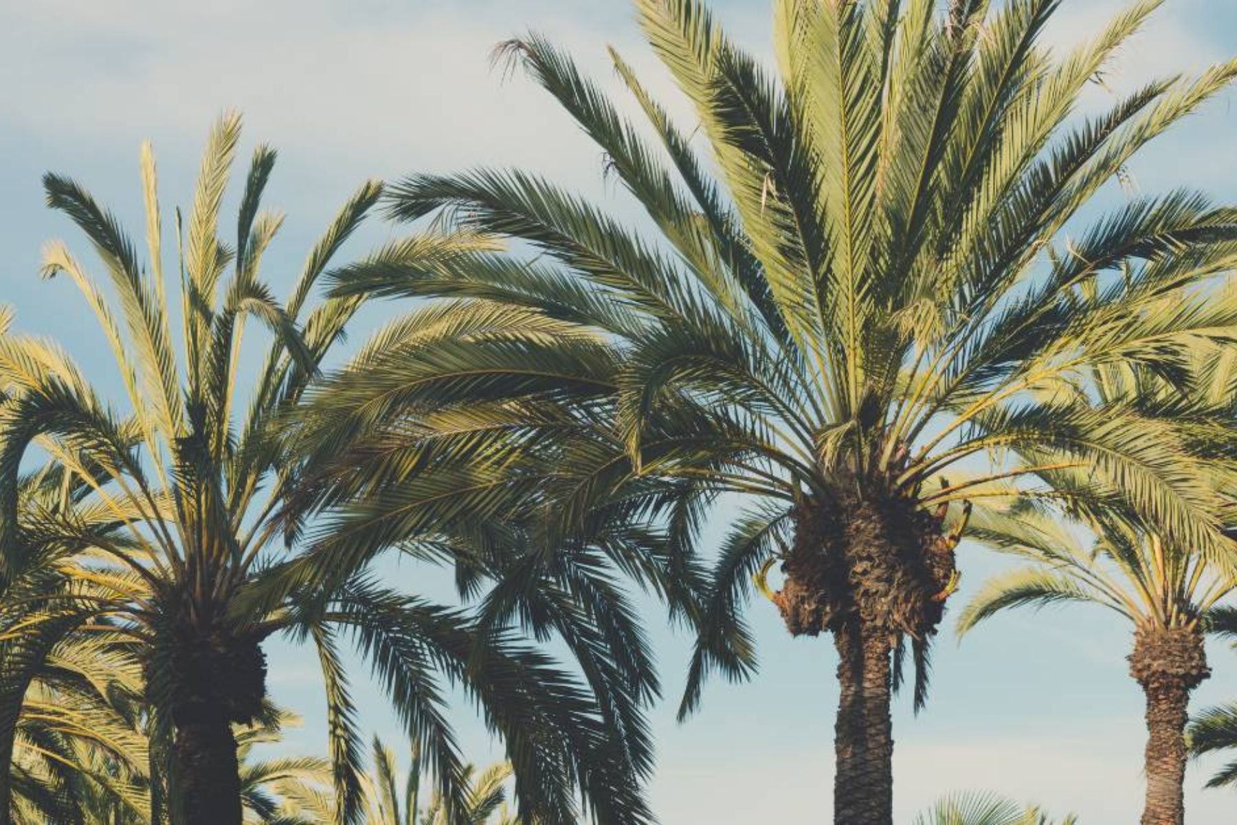 Kalifornien HappyLandGifts Geschenk Land Grundstück