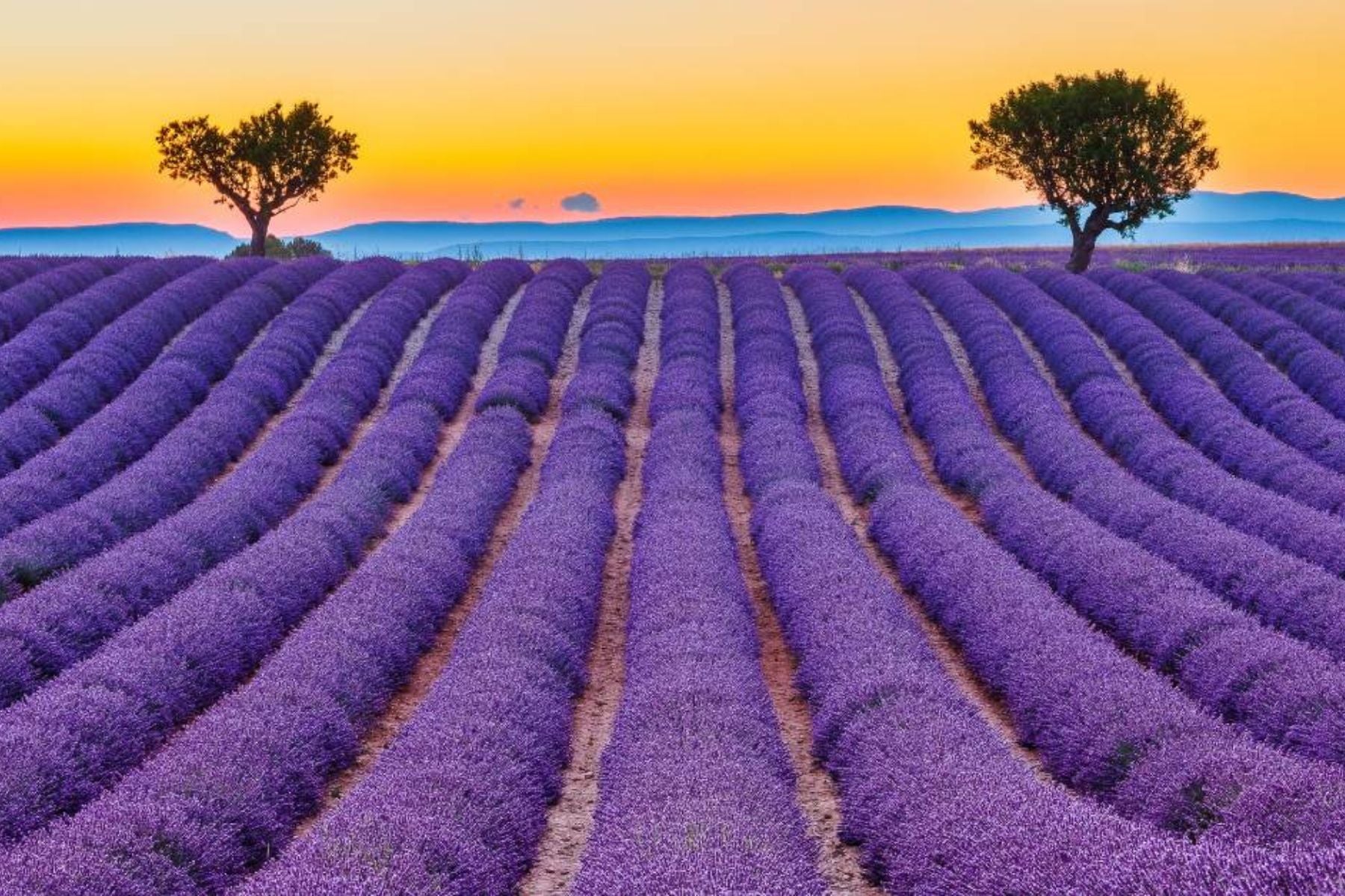 Frankreich HappyLandGifts Geschenk Land Grundstück