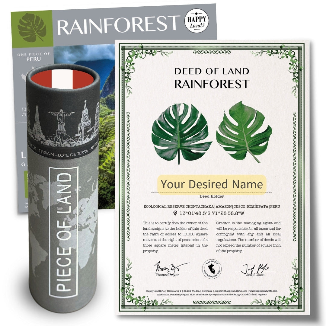Real Piece of Peru Rainforest | Personalized Gift for Peru Fans
